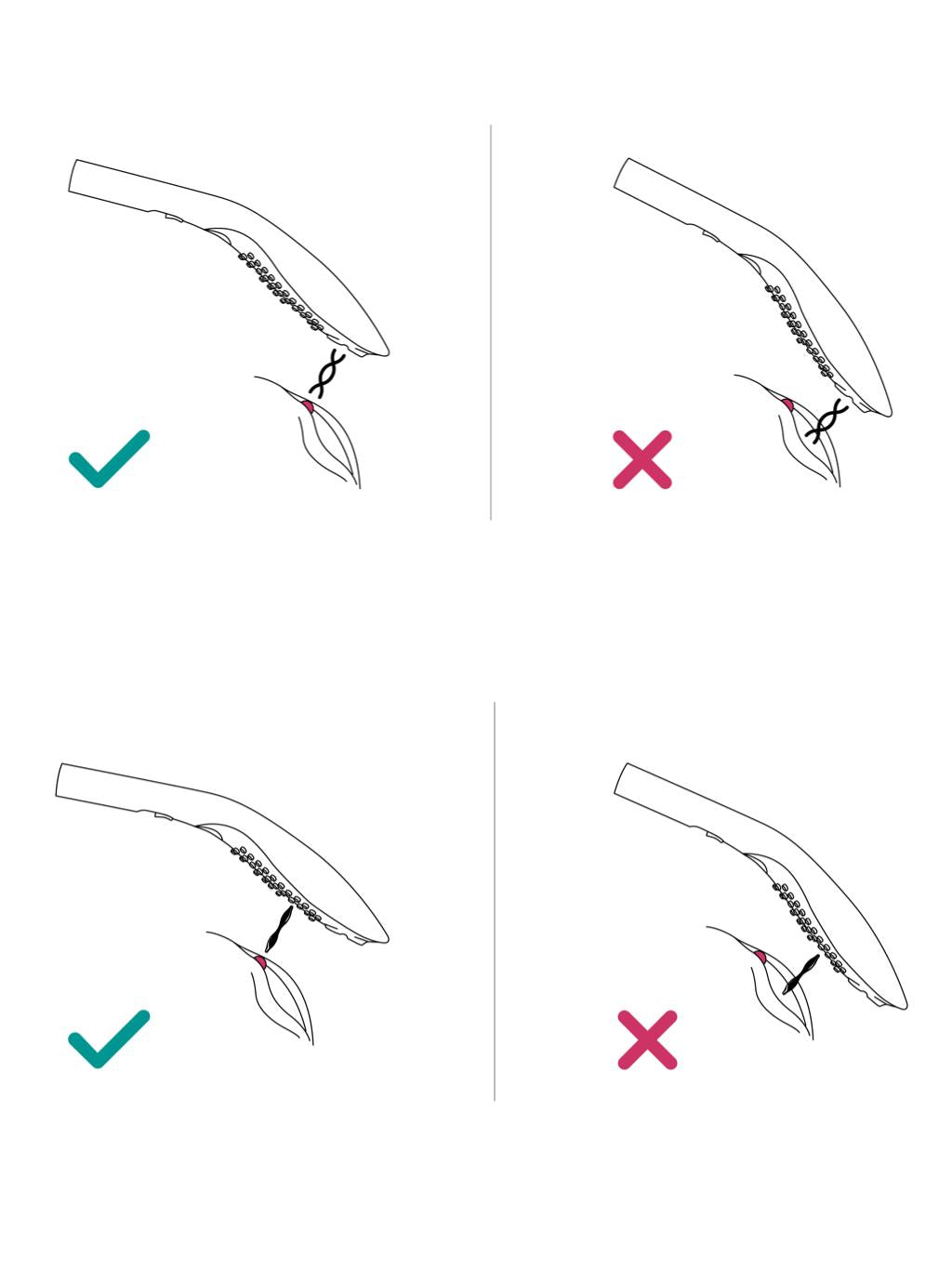 Womanizer illustration | Dear Desire