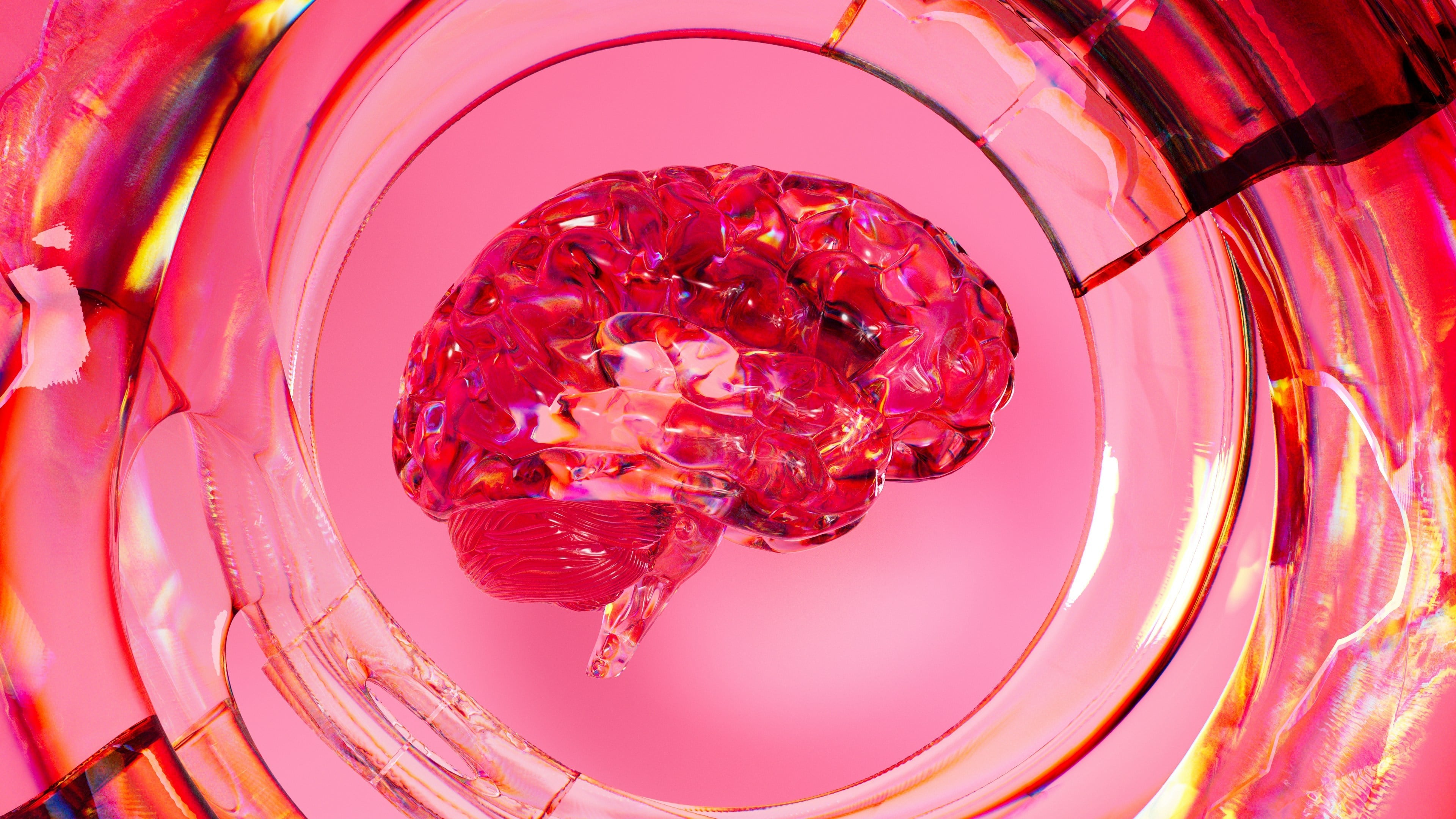 The Science of Desire: Unveiling the Brain’s Role in Attraction and Arousal | Dear Desire