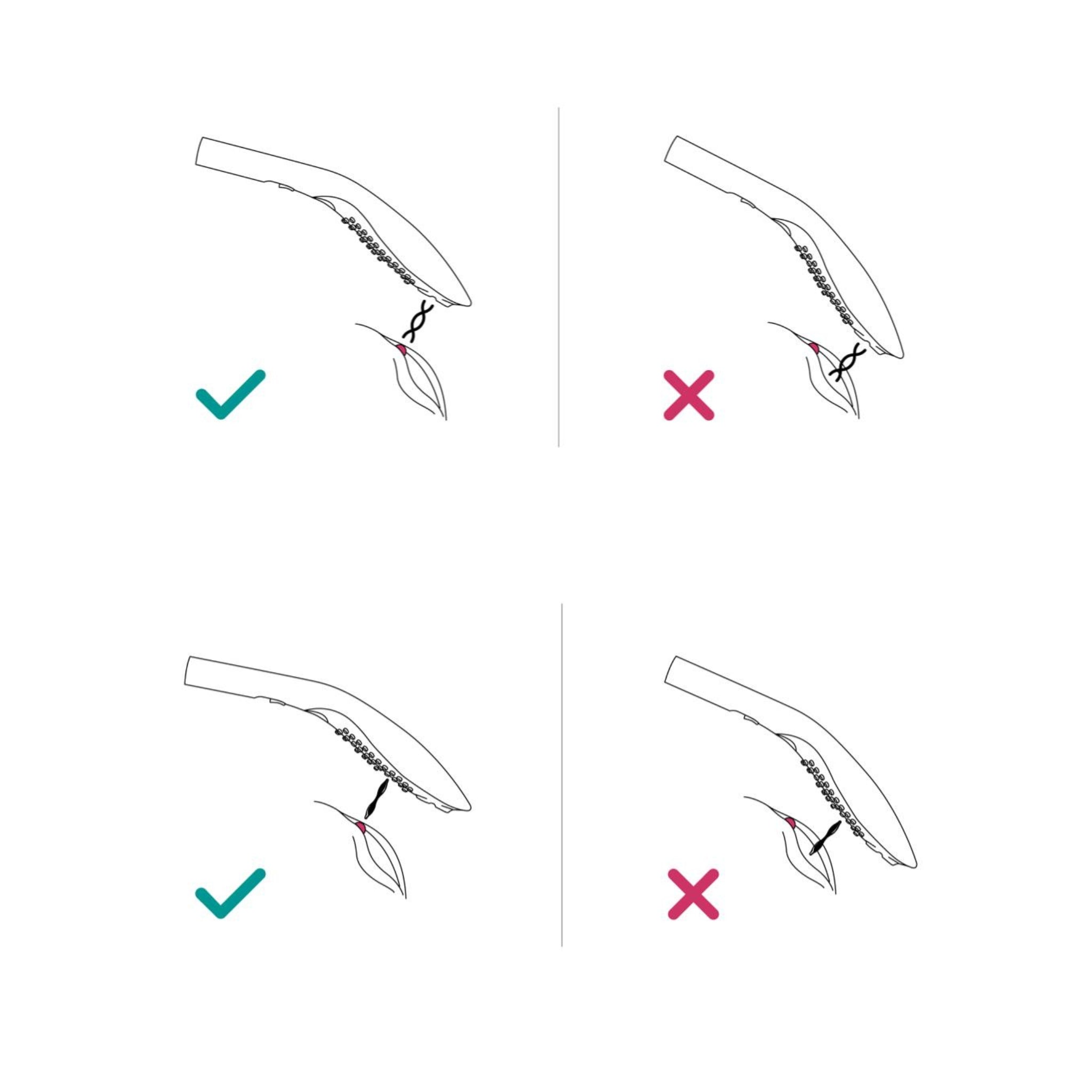 Womanizer illustration | Dear Desire